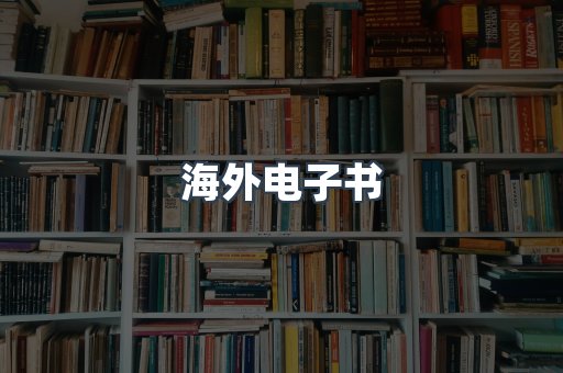 海外电子书